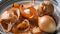 Un fertilizzante che aumenta la resa di tutte le verdure del tuo orto – e non costa nulla.