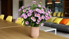 Durano due settimane in vaso: quali fiori scegliere per fare un regalo ai propri cari