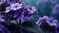 Né lavanda né gelsomino: la pianta che profuma di vaniglia e che quasi nessuno conosce