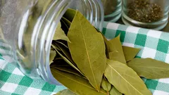 Perché mettere una foglia di alloro sotto il frigorifero in cucina: solo pochi conoscono la risposta.